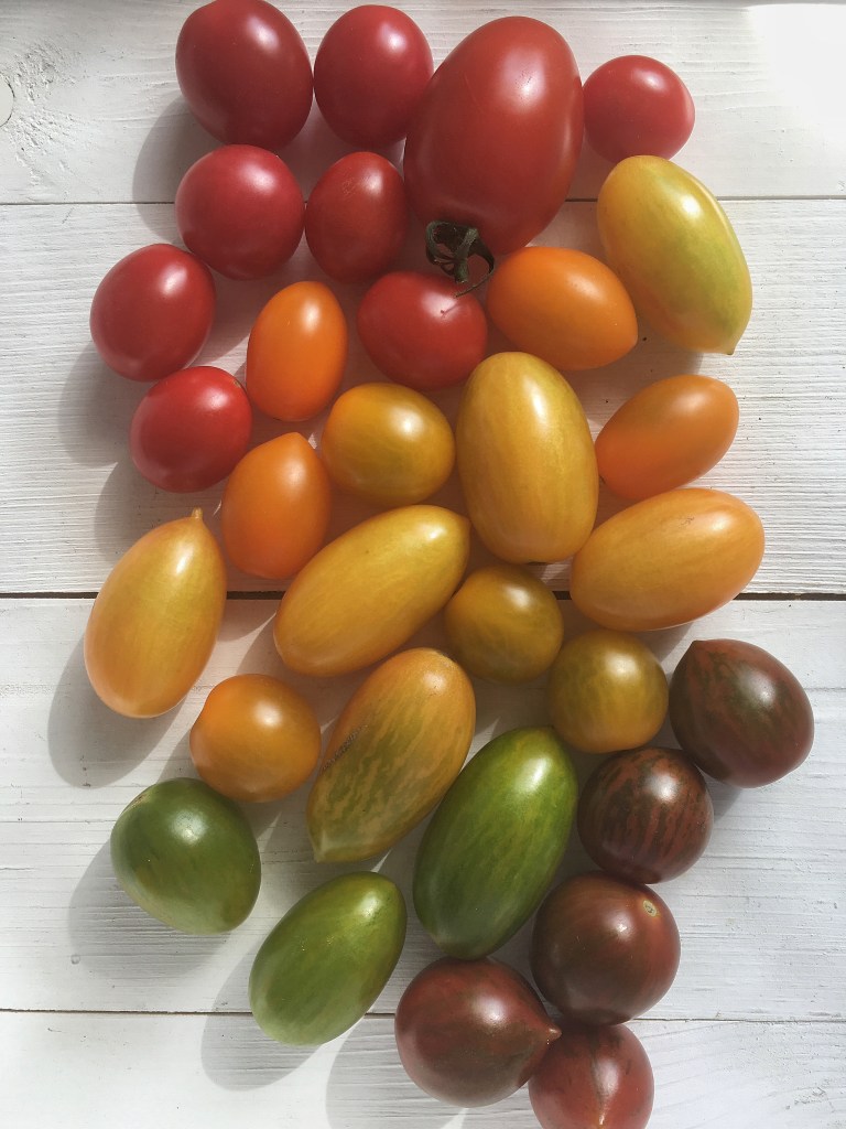 Processed with Snapseed.