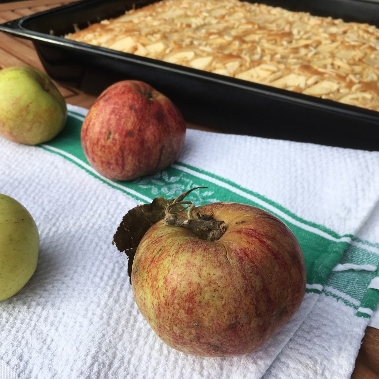 Processed with Snapseed.