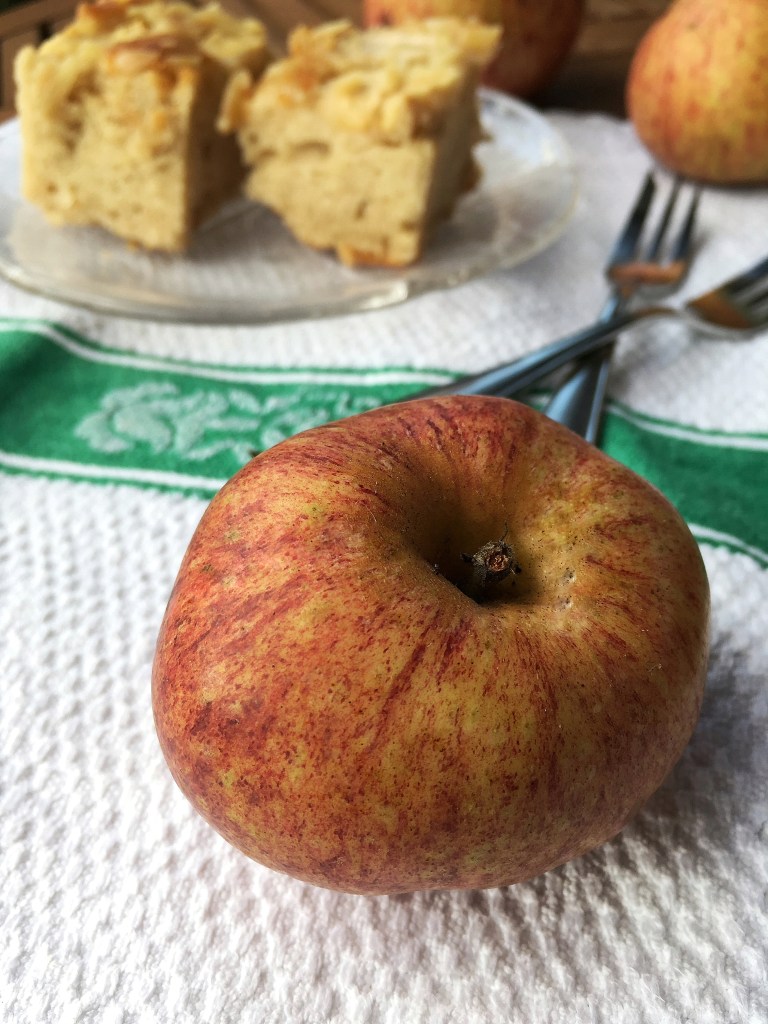 Processed with Snapseed.